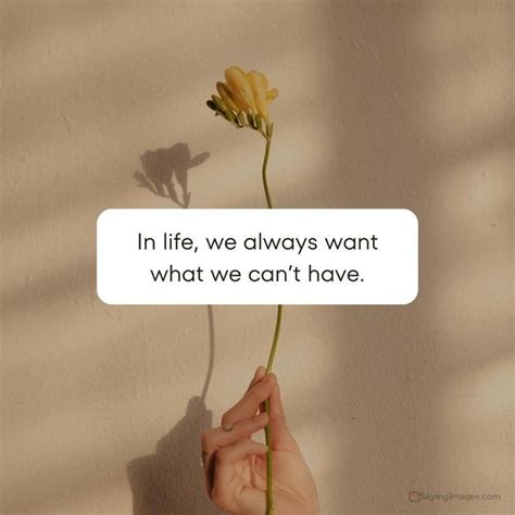 70 Quotes About The Dangers And Excitement Of .